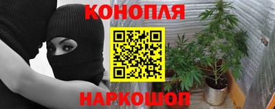 дживик Лесосибирск